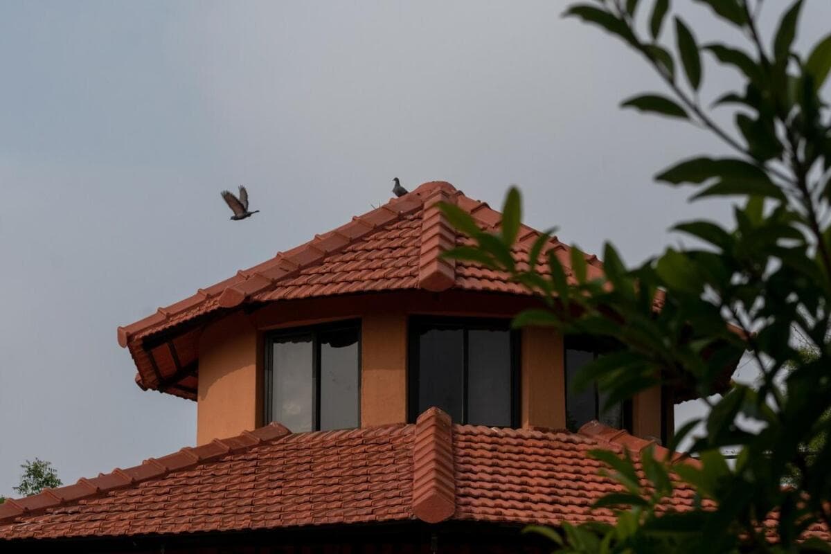 The villa's tiled roof tower against a grey sky, a bird on the ridge