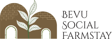 Bevu Social Farmstay
